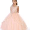8046 Blush Embellished Ballgown