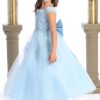 Baby blue flower girl dress