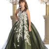 sage with black dress with train and champagne leaves and buttoned back closure