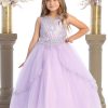 lavender dress with silver embroidery