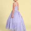 CA6026 Girls Tulle Ball Gown With Train - Image 2