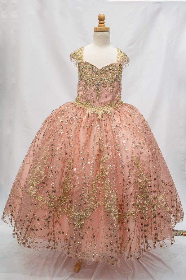 blush and gold ball-gown dress
