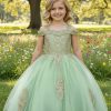 sage dress for girls with gold embroidery