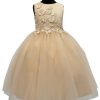 champagne dress
