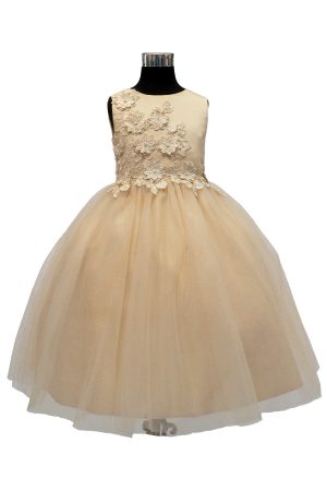 champagne dress