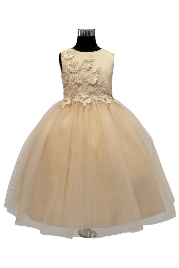 champagne dress
