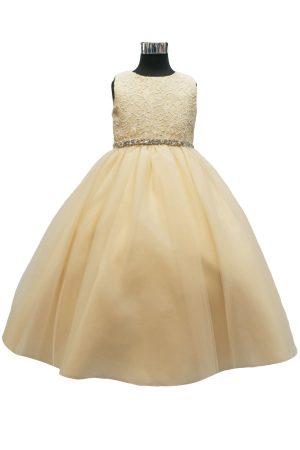 Y237-1102 Champagne