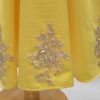 Yellow and blue princess dress