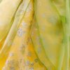 princess Tiana dress fabric texture