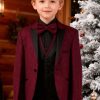 a boy wearing a burgundy glittered suit