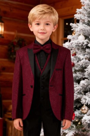 a boy wearing a burgundy glittered suit